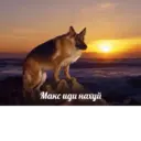 Çıkartma