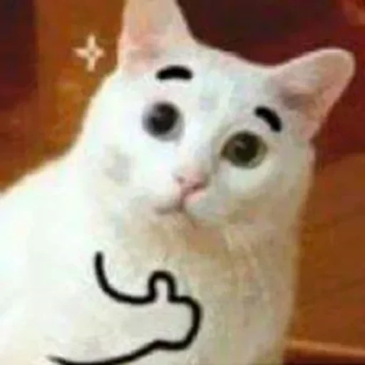Çıkartma