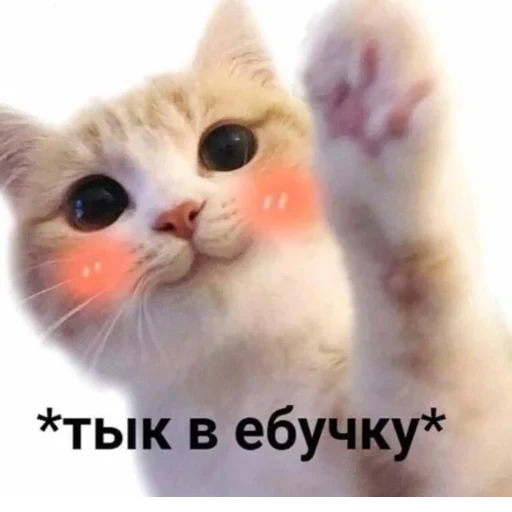 Çıkartma