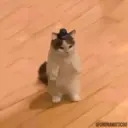 Çıkartma