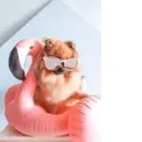 Çıkartma
