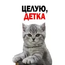 Çıkartma