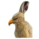 Çıkartma