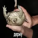 Çıkartma