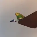 ملصق