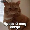 ملصق