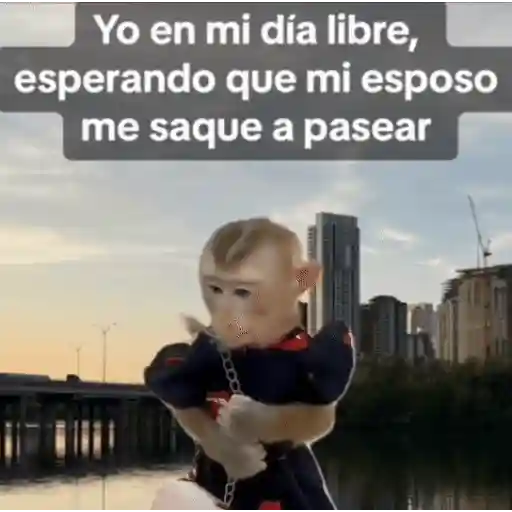 ملصق