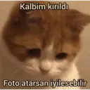 Çıkartma