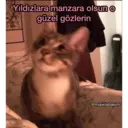 Çıkartma