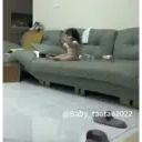 ملصق