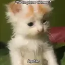 Стикер