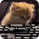 ملصق