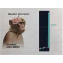 Çıkartma