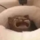 Çıkartma