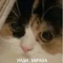 Çıkartma
