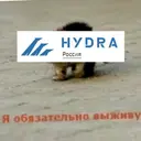 Çıkartma