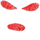 Çıkartma