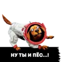 ملصق