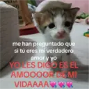 ملصق