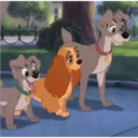 Çıkartma