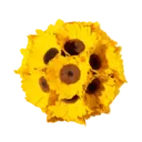 Çıkartma