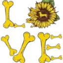 Çıkartma