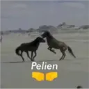 Çıkartma