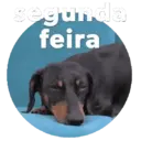 Figurinha