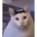 Çıkartma