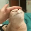 Çıkartma