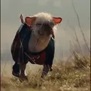 ملصق