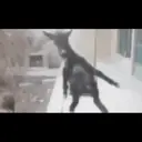 Çıkartma