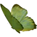 Çıkartma
