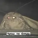 ملصق