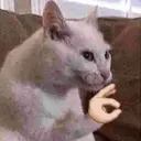 ملصق