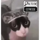 Стикер