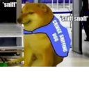 Çıkartma