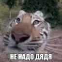 ملصق