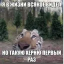 ملصق