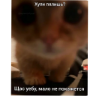 ملصق
