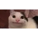 Çıkartma