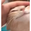 Çıkartma