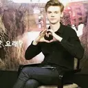 ملصق