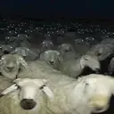 Çıkartma