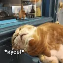 ملصق