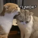 ملصق