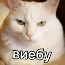 ملصق