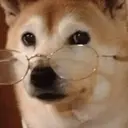 ملصق