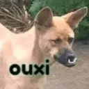 Стикер