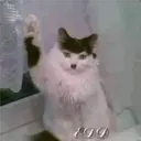 Çıkartma